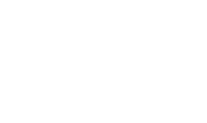 logo-spa-landing