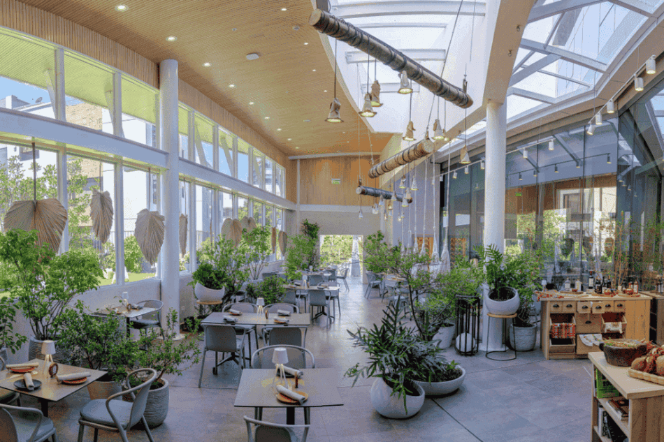 Parallel Mercado Lab